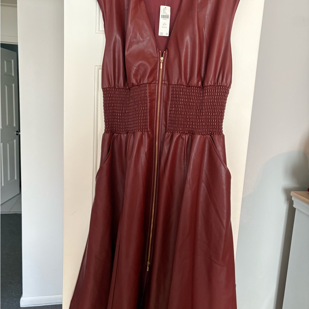 Anthropologie Burgundy faux leather Midi Dress